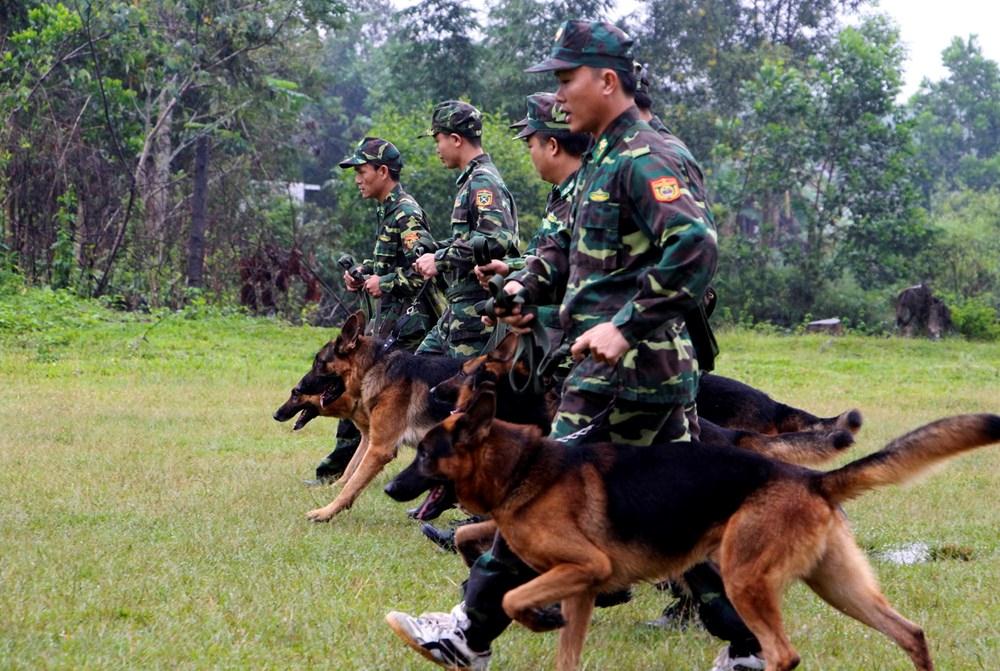 chuyên huấn luyện chó Đồng Nai