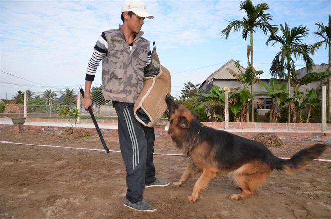 Trung tâm huấn luyện chó Bình Dương